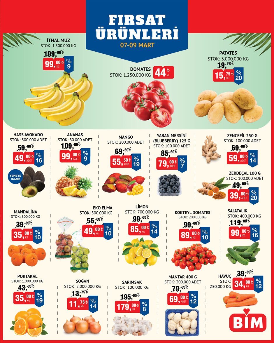 BİM katalog sayfa 8