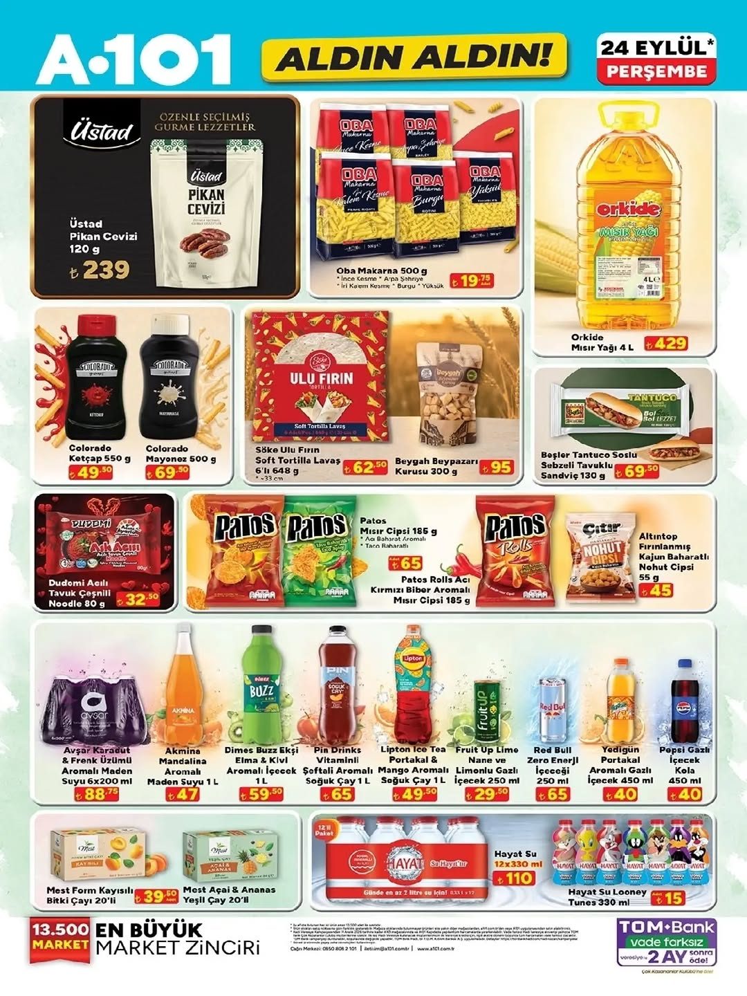 A101 katalog sayfa 13