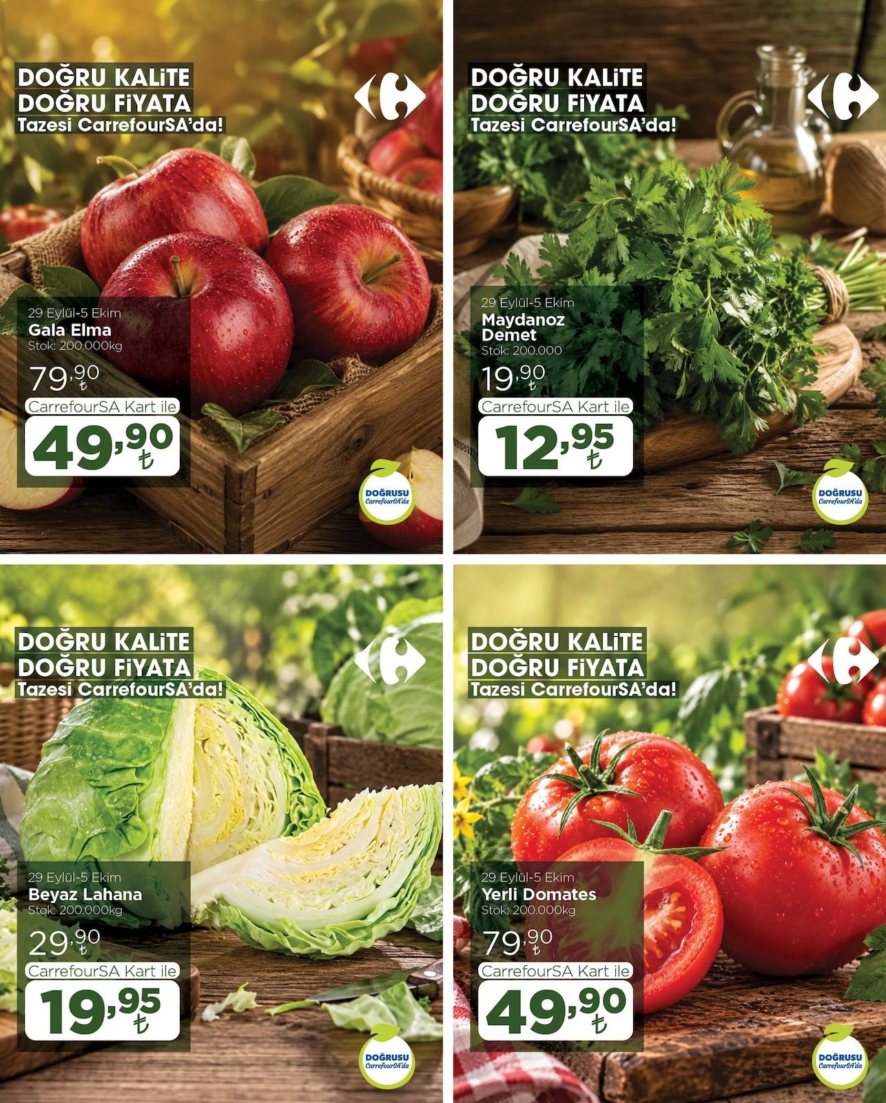 CarrefourSA katalog sayfa 2
