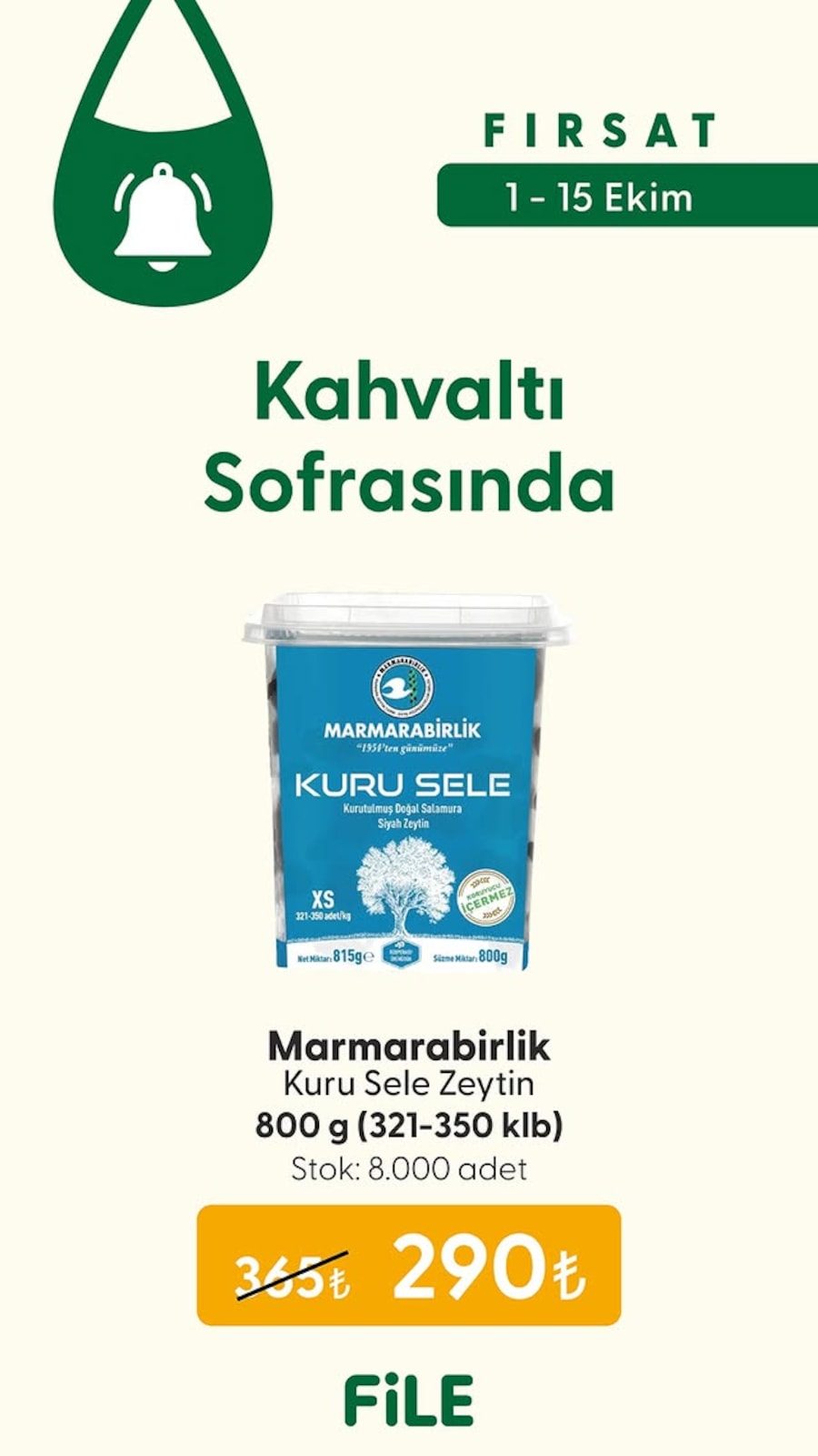 File Market katalog sayfa 2