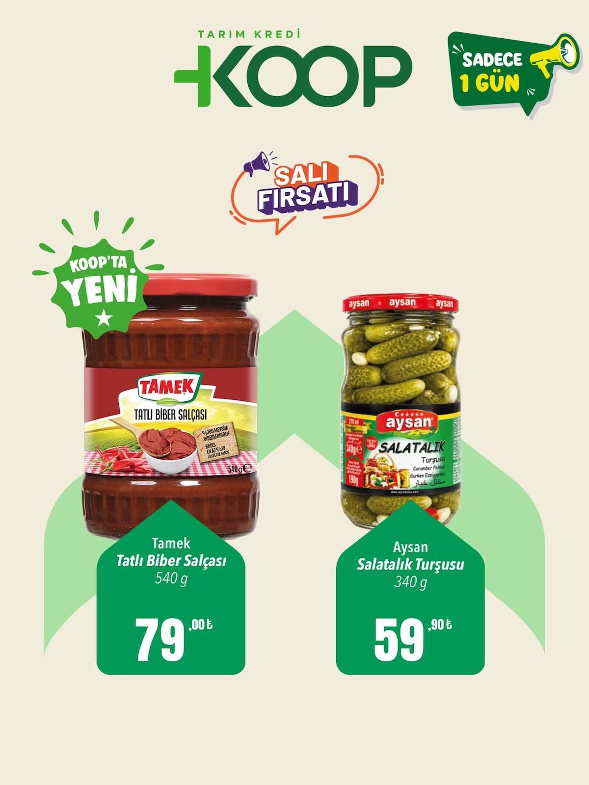 Tarım Kredi Kooperatifi katalog sayfa 1
