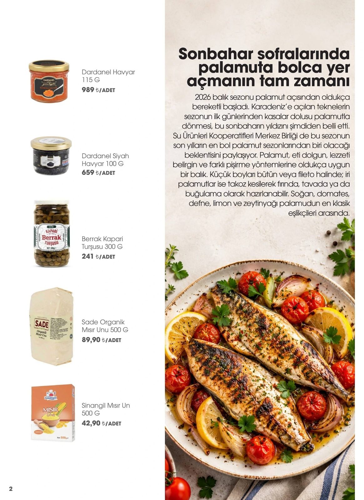 CarrefourSA katalog sayfa 2