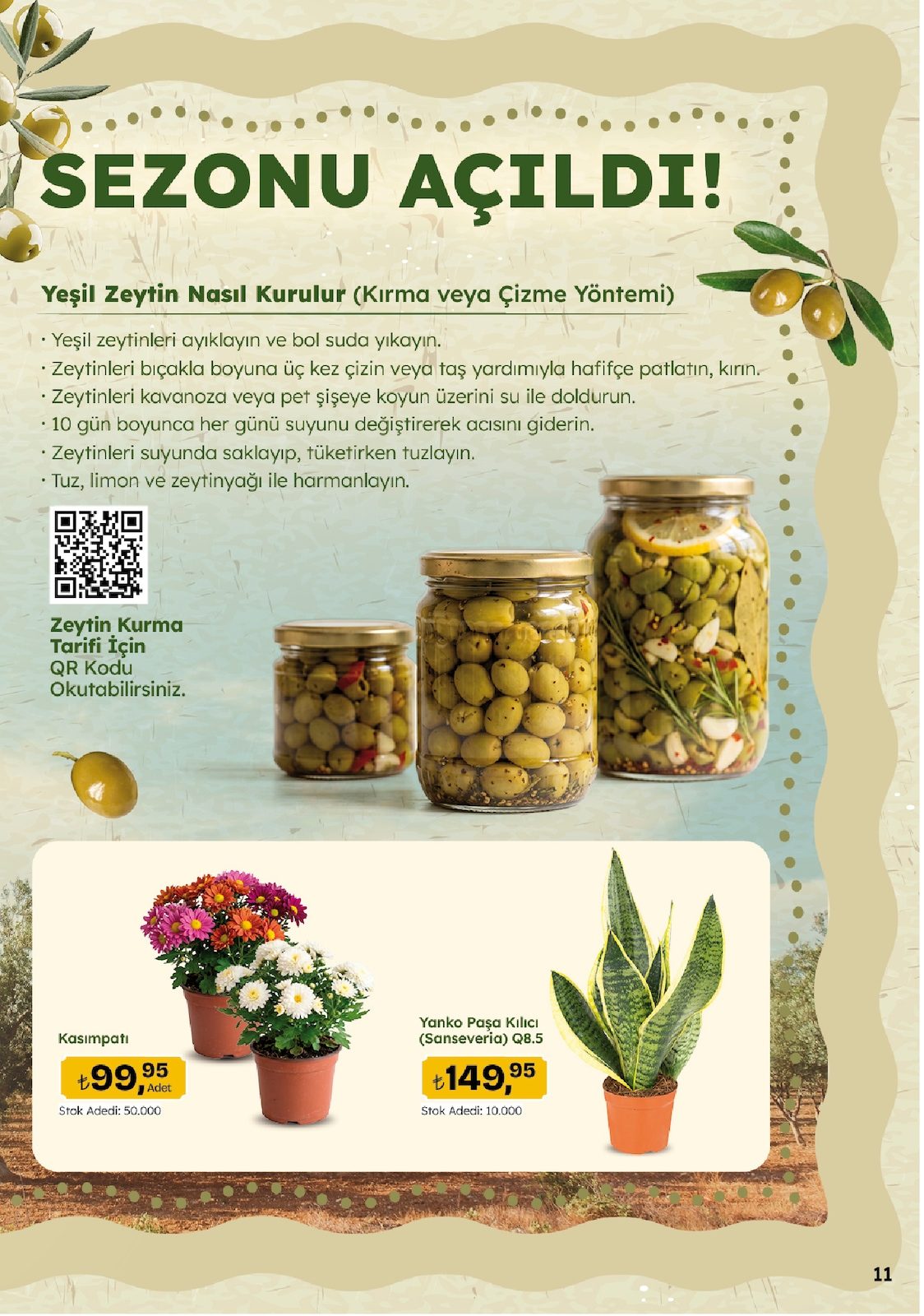 Migros katalog sayfa 11