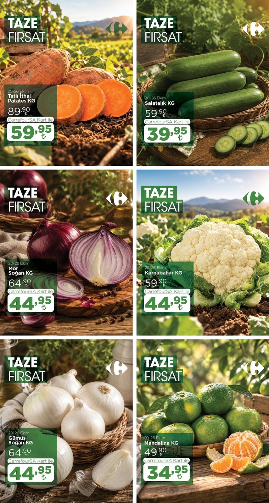 CarrefourSA katalog sayfa 1